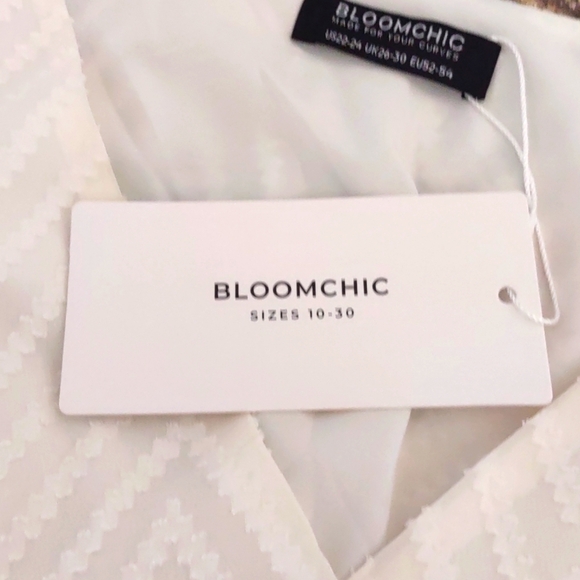 NWT Bloomchic Off White Lacey Top Size 22-24 - Picture 7 of 9